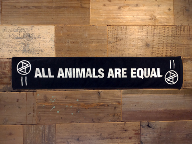 画像2: AA= MUFFLER TOWEL